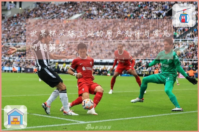 世界杯买球主站的用户测评与常见问题解答