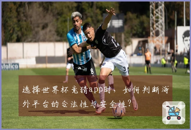 选择世界杯竞猜app时，如何判断海外平台的合法性与安全性？