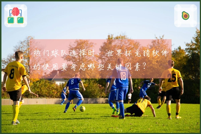 热门球队选择时，世界杯竞猜软件的使用要考虑哪些关键因素？