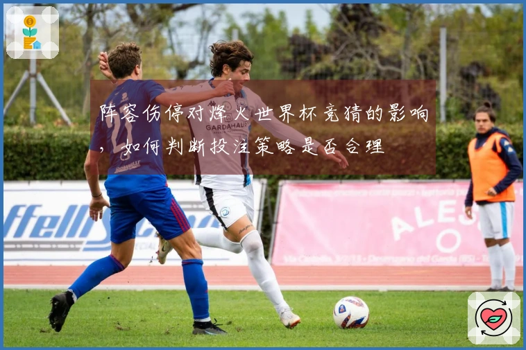 阵容伤停对烽火世界杯竞猜的影响，如何判断投注策略是否合理