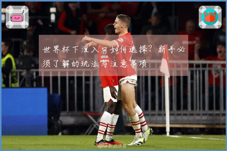 世界杯下注入口如何选择？新手必须了解的玩法与注意事项