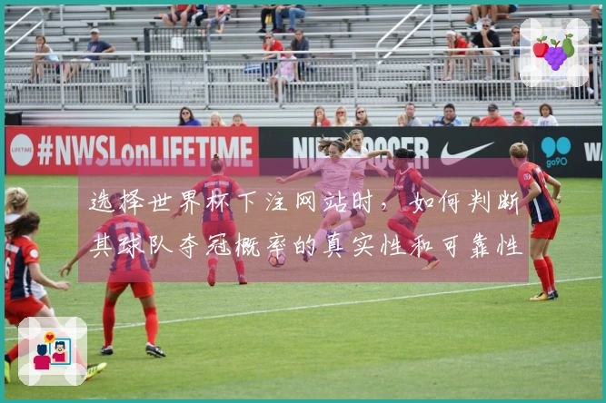 选择世界杯下注网站时，如何判断其球队夺冠概率的真实性和可靠性？
