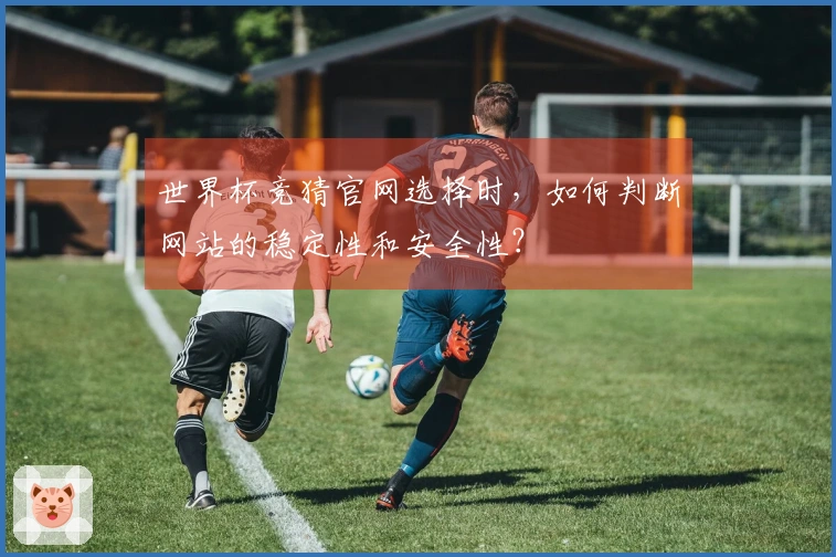 世界杯竞猜官网选择时，如何判断网站的稳定性和安全性？