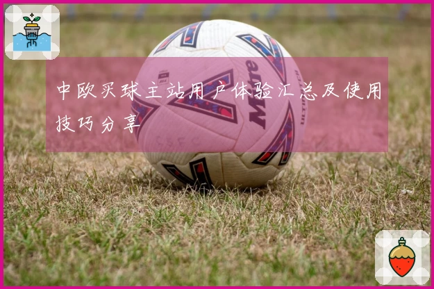 中欧买球主站用户体验汇总及使用技巧分享
