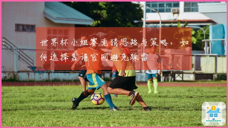 世界杯小组赛竞猜思路与策略，如何选择靠谱官网避免踩雷