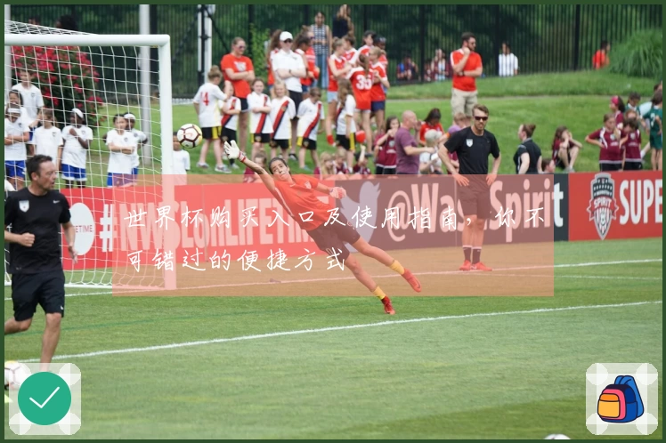 世界杯购买入口及使用指南，你不可错过的便捷方式