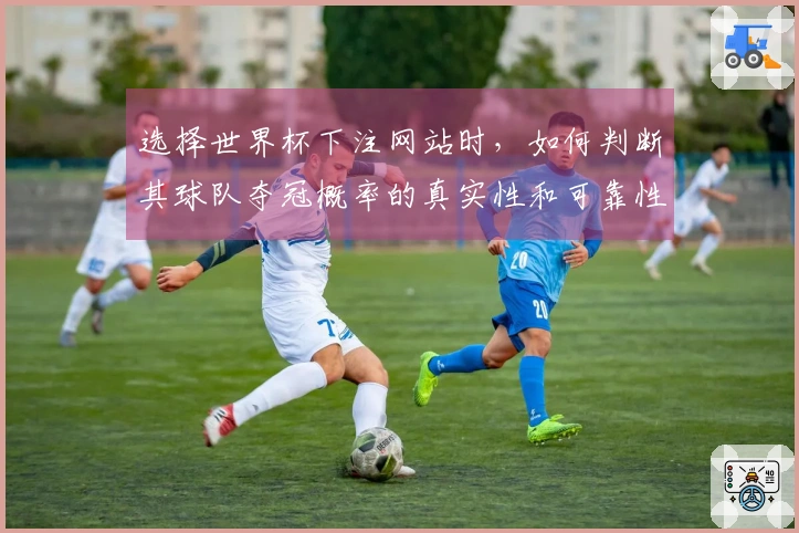 选择世界杯下注网站时，如何判断其球队夺冠概率的真实性和可靠性？