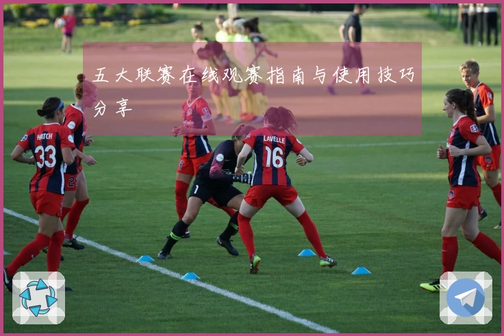 五大联赛在线观赛指南与使用技巧分享