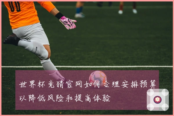 世界杯竞猜官网如何合理安排预算以降低风险和提高体验