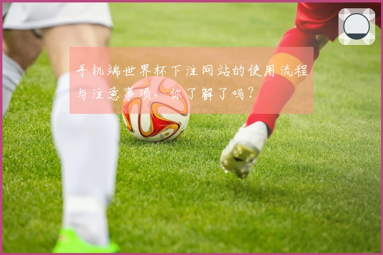 手机端世界杯下注网站的使用流程与注意事项，你了解了吗？