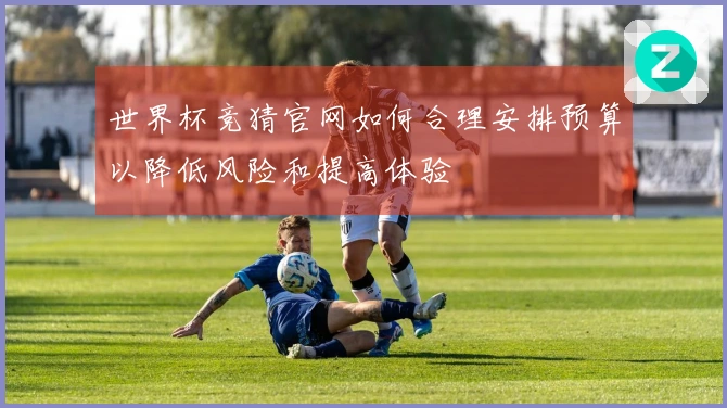 世界杯竞猜官网如何合理安排预算以降低风险和提高体验
