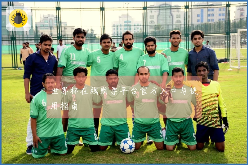 世界杯在线购票平台官方入口与使用指南