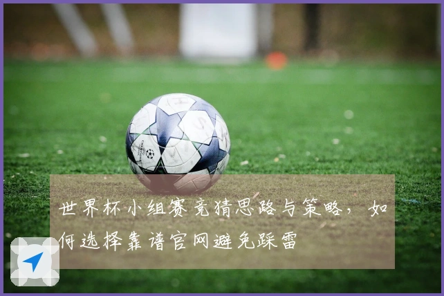 世界杯小组赛竞猜思路与策略，如何选择靠谱官网避免踩雷