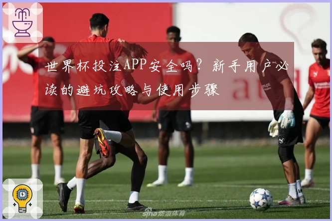 世界杯投注APP安全吗？新手用户必读的避坑攻略与使用步骤