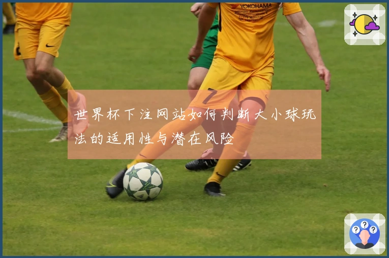世界杯下注网站如何判断大小球玩法的适用性与潜在风险