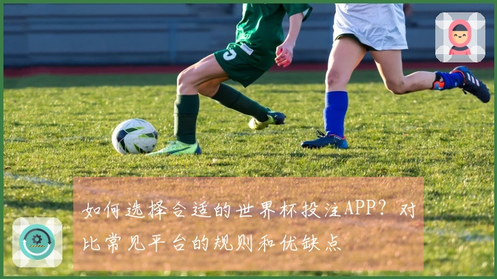 如何选择合适的世界杯投注APP？对比常见平台的规则和优缺点