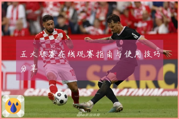 五大联赛在线观赛指南与使用技巧分享